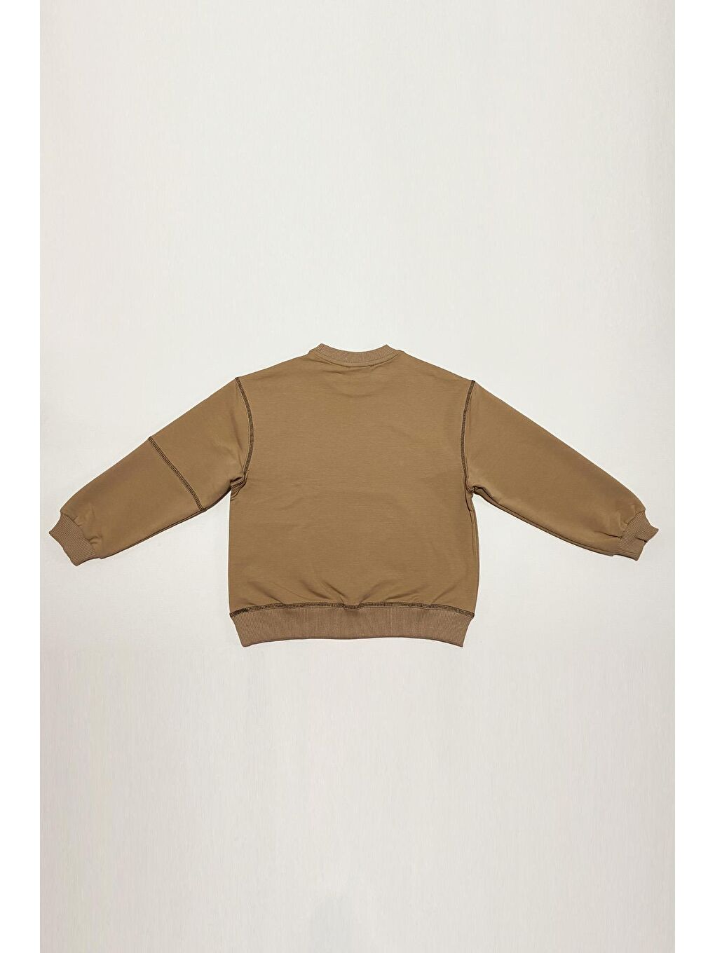 Bej Erkek Çocuk Sweatshirt SW.1213-2