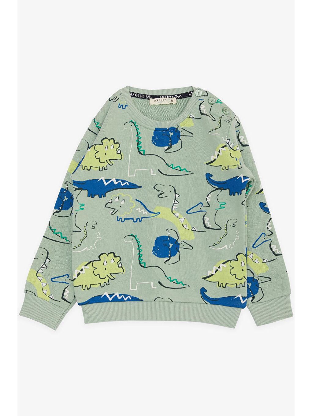 Turkuaz Erkek Bebek Sweatshirt Eğlenceli Dinozorlar Desenli Mint Yeşili (1.5-2 Yaş)