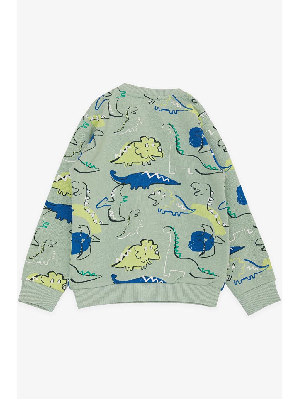 Turkuaz Erkek Bebek Sweatshirt Eğlenceli Dinozorlar Desenli Mint Yeşili (1.5-2 Yaş)-1