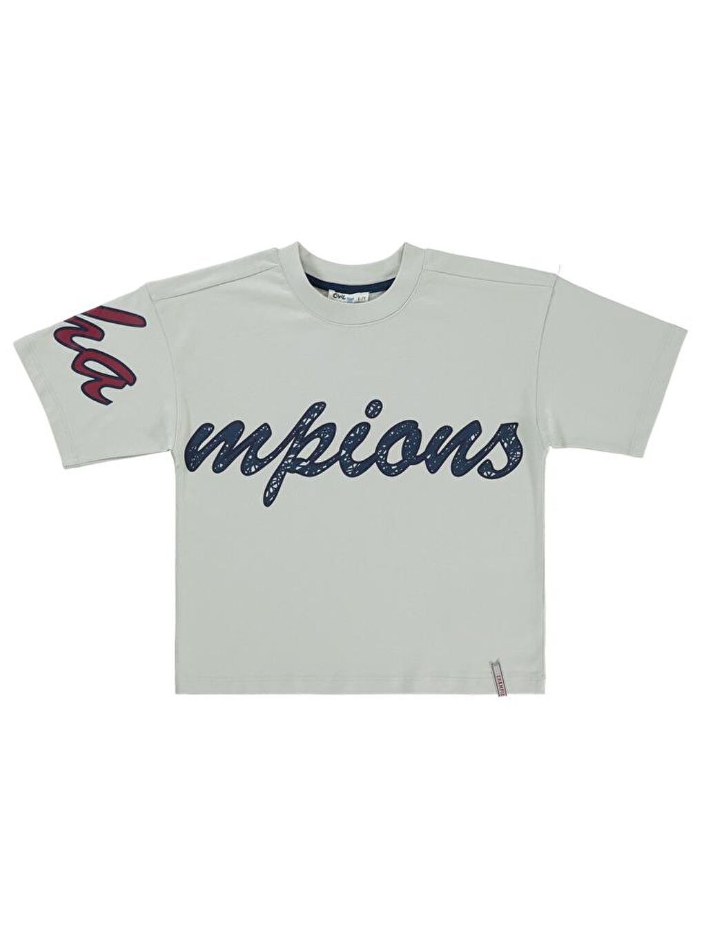 Boys Champıons Baskılı 10-13 Yaş Tişört - Lacivert10-11 Yaş