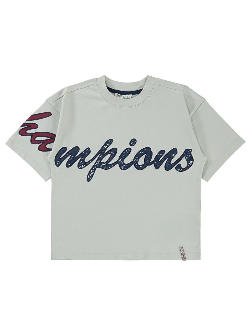 Boys Champıons Baskılı 10-13 Yaş Tişört - Lacivert10-11 Yaş-2