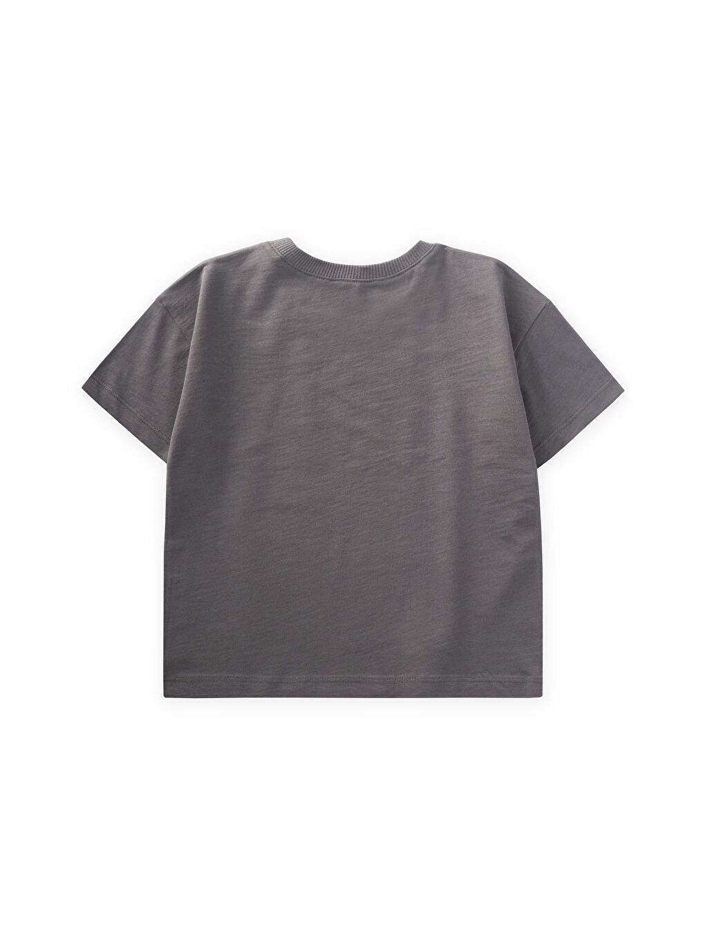 Gri Erkek Çocuk Baskılı Tişört-1