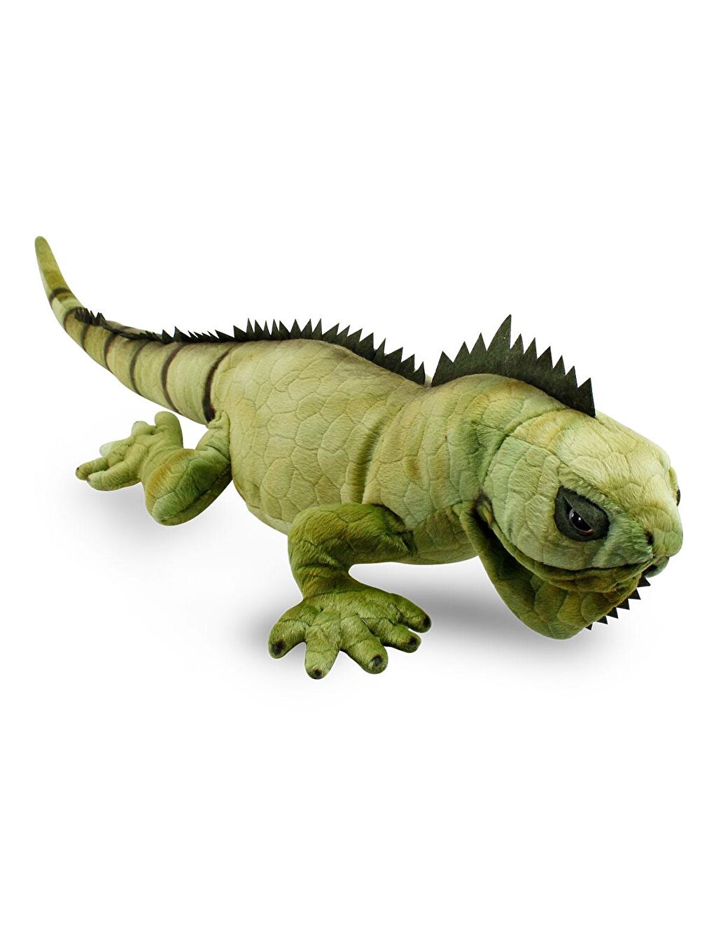 Animals of The World Karışık İguana 66cm - 1