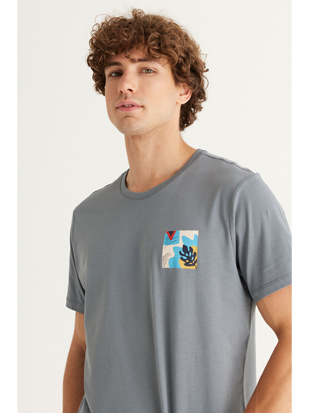 Erkek Taş Yeşili Slim Fit Dar Kesim %100 Pamuk Bisiklet Yaka Baskılı Tişört-1