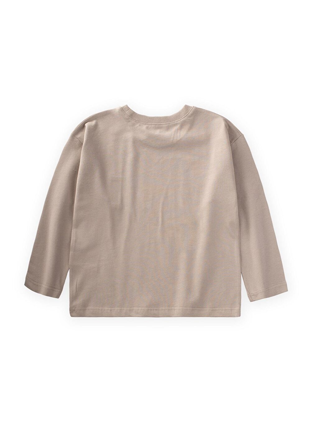 Bej Erkek Çocuk Sweatshirt-1