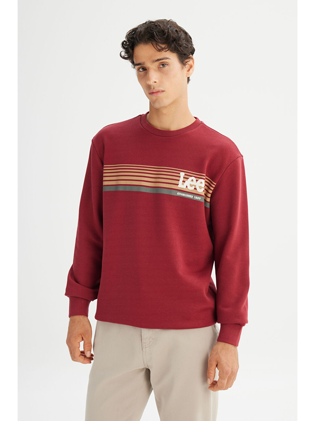 Bordo Regular Fit Bisiklet Yaka Baskılı Sweatshirt-2