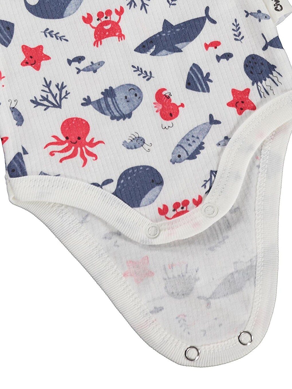 Baby Balina Empirme 1-36 Ay Çıtçıtlı Badi - Ekru-2