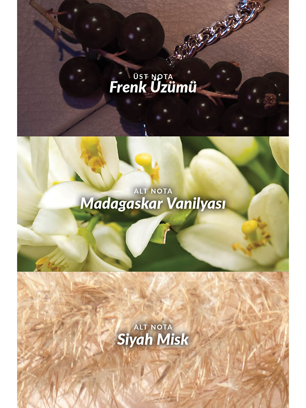 Little Black Dress Far Away Glamour ve Attraction Kadın Parfüm Paketi-5