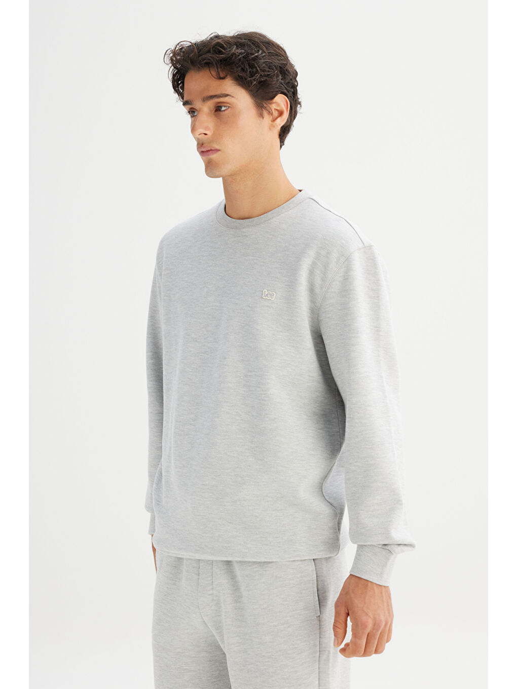 Gri Regular Fit Bisiklet Yaka Sweatshirt-2