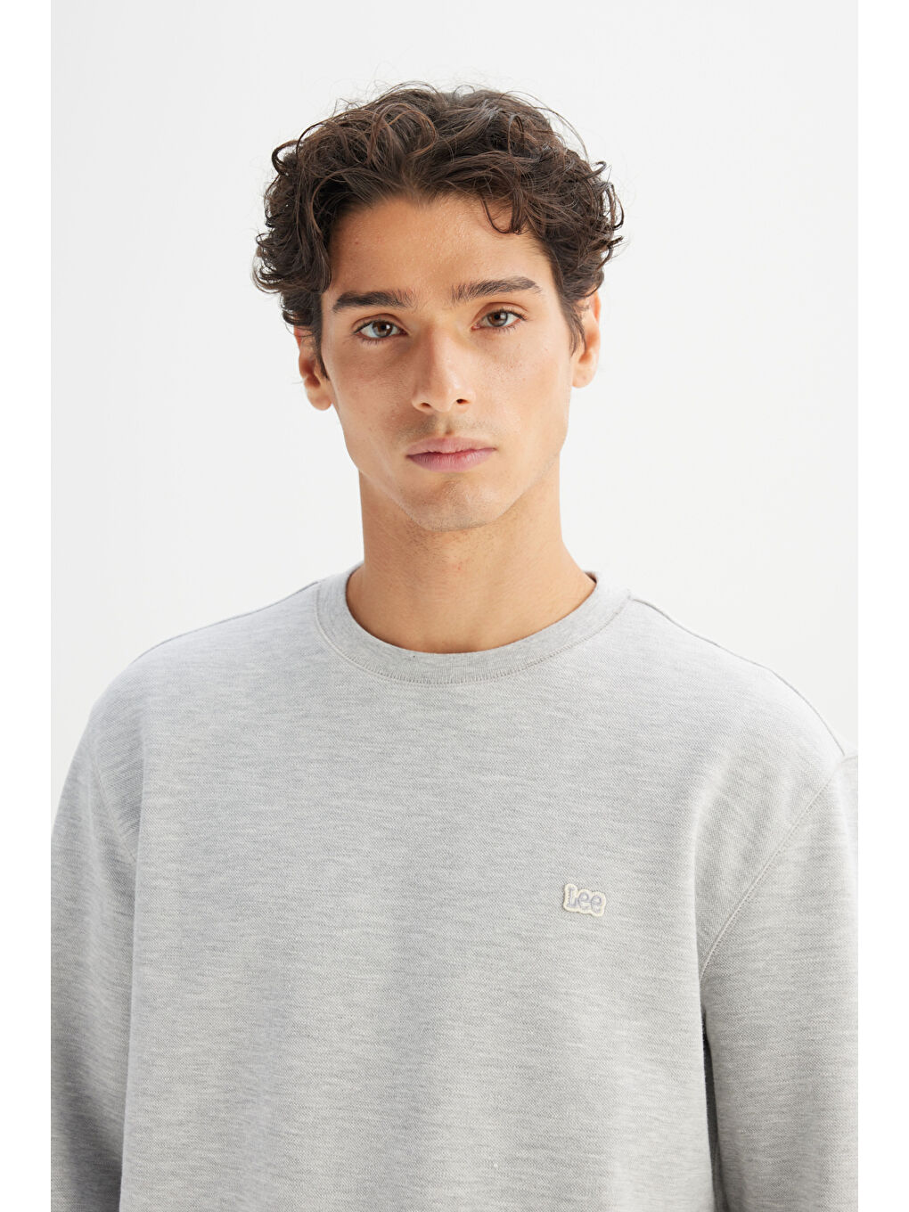 Gri Regular Fit Bisiklet Yaka Sweatshirt-3