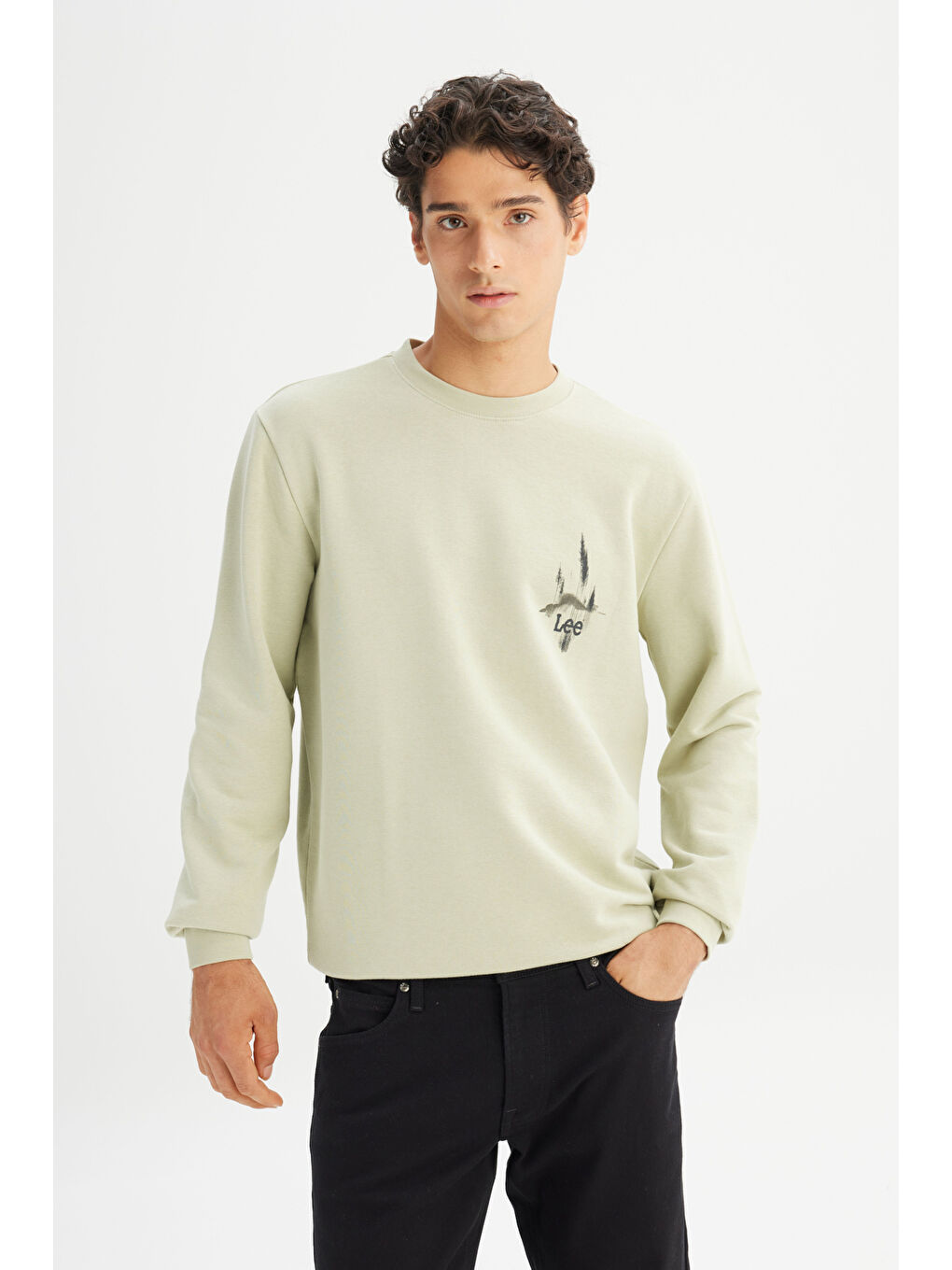 Yeşil Regular Fit Bisiklet Yaka Sweatshirt