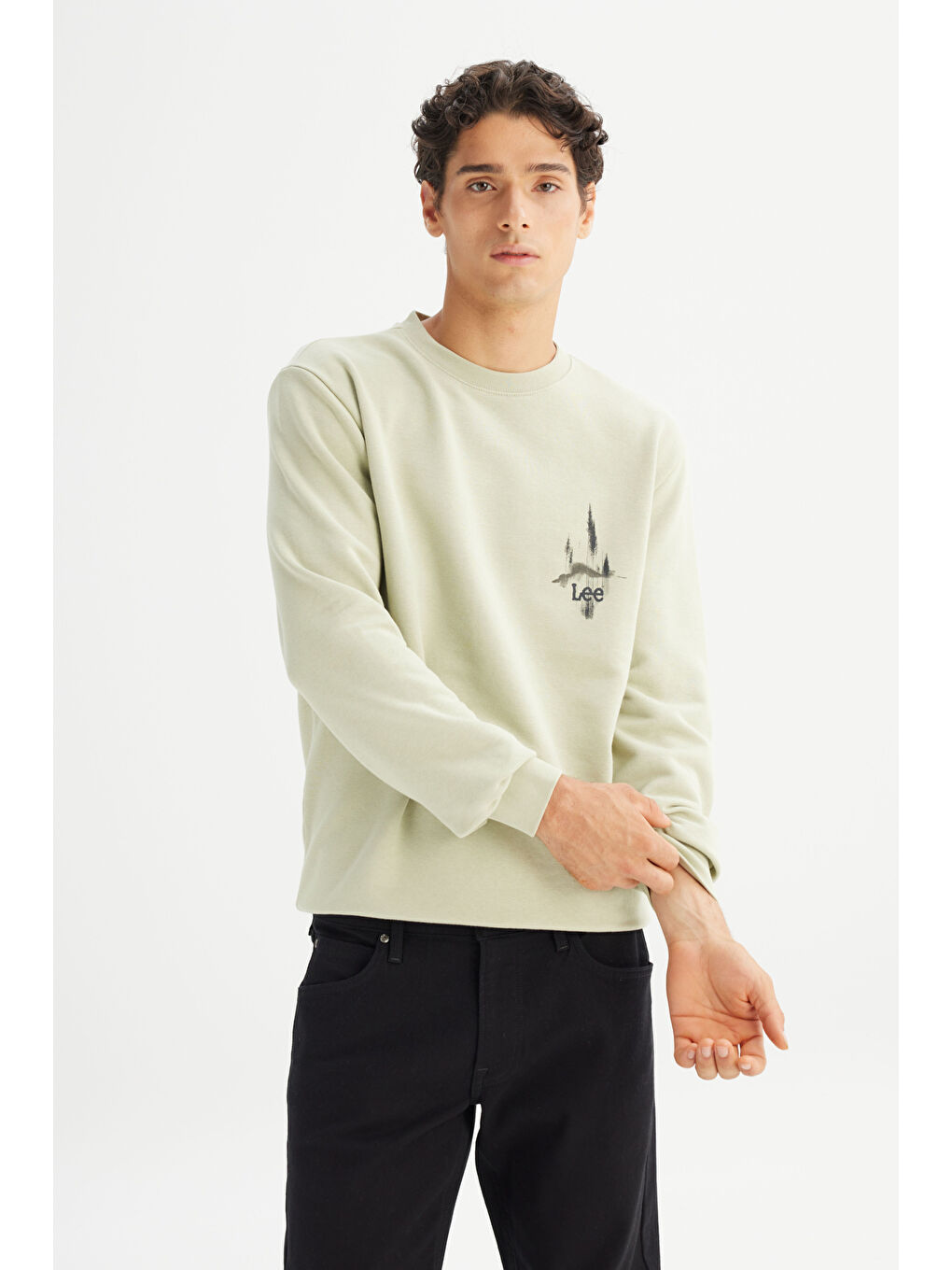 Yeşil Regular Fit Bisiklet Yaka Sweatshirt-2