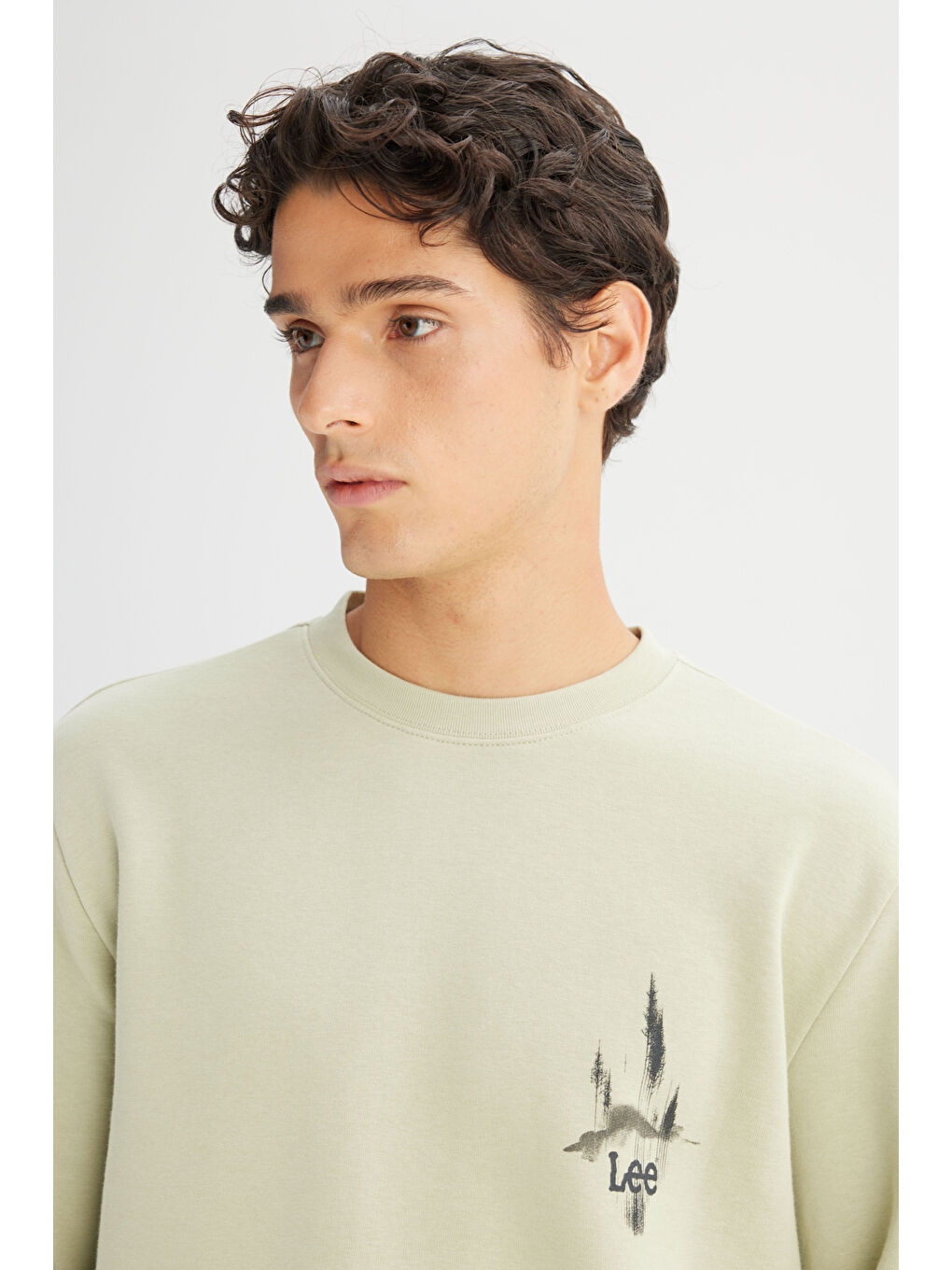 Yeşil Regular Fit Bisiklet Yaka Sweatshirt-3