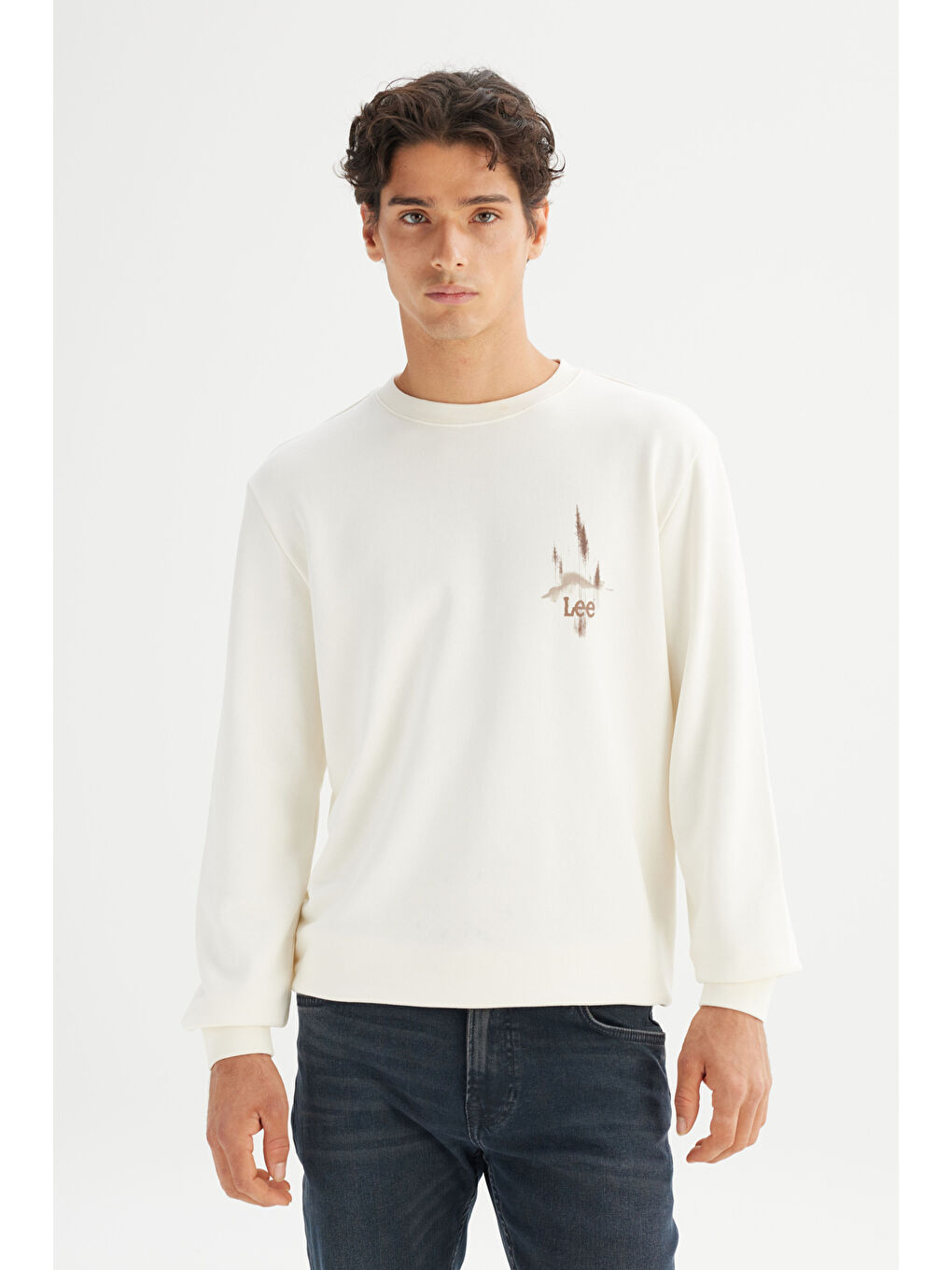 Ekru Regular Fit Bisiklet Yaka Sweatshirt-2