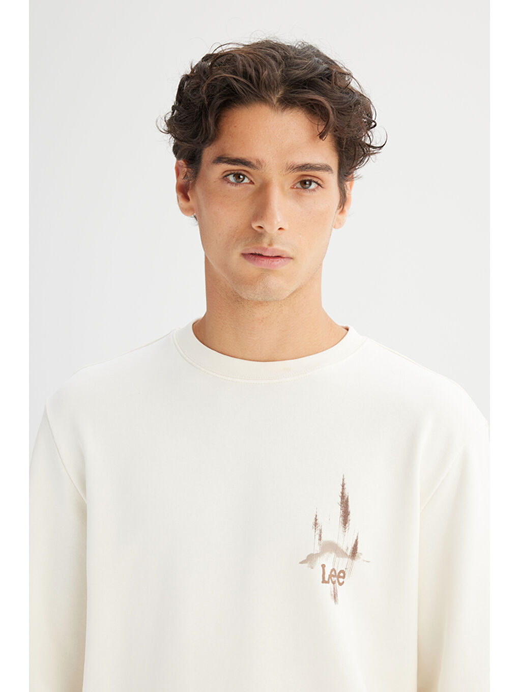 Ekru Regular Fit Bisiklet Yaka Sweatshirt-3