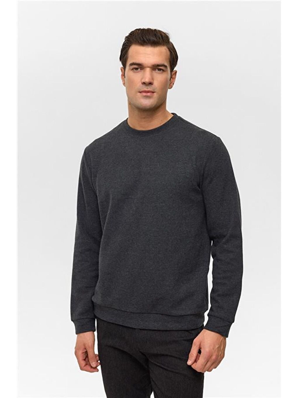 Antrasit Regular Düz Bisiklet Yaka Sweatshirt