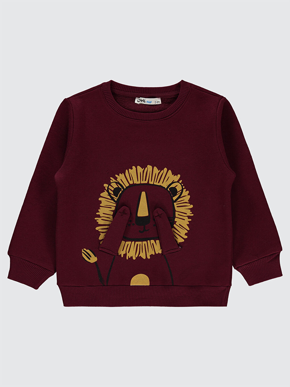 Civil Boys Erkek Çocuk Sweatshirt 2-5 Yaş Bordo - 3