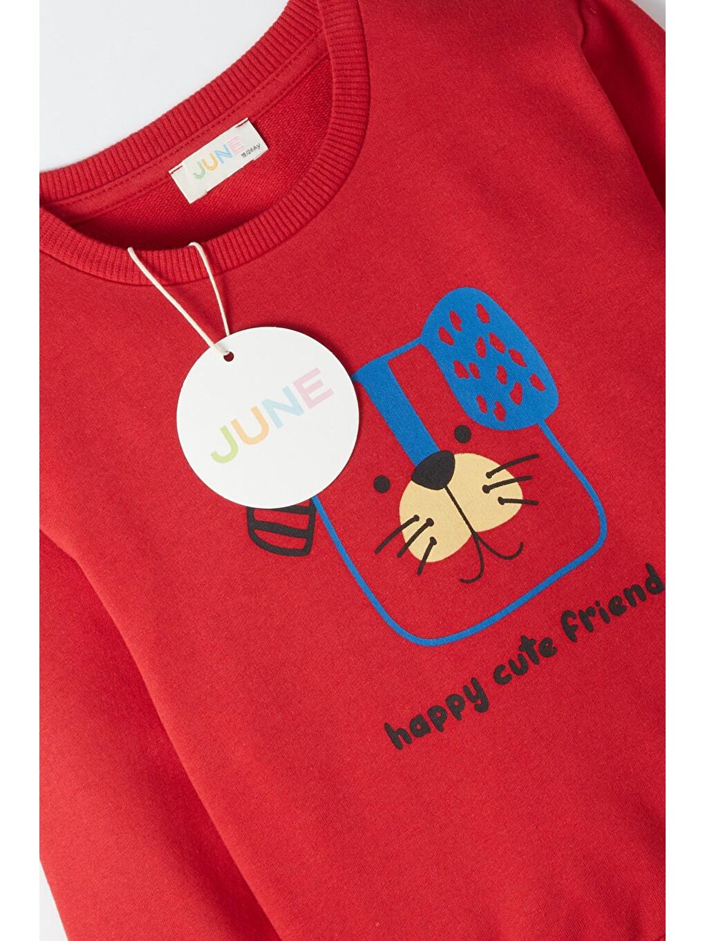 June Kırmızı Bisiklet Yaka Uzun Kollu Köpek Baskılı Erkek Bebek Sweatshirt - 3