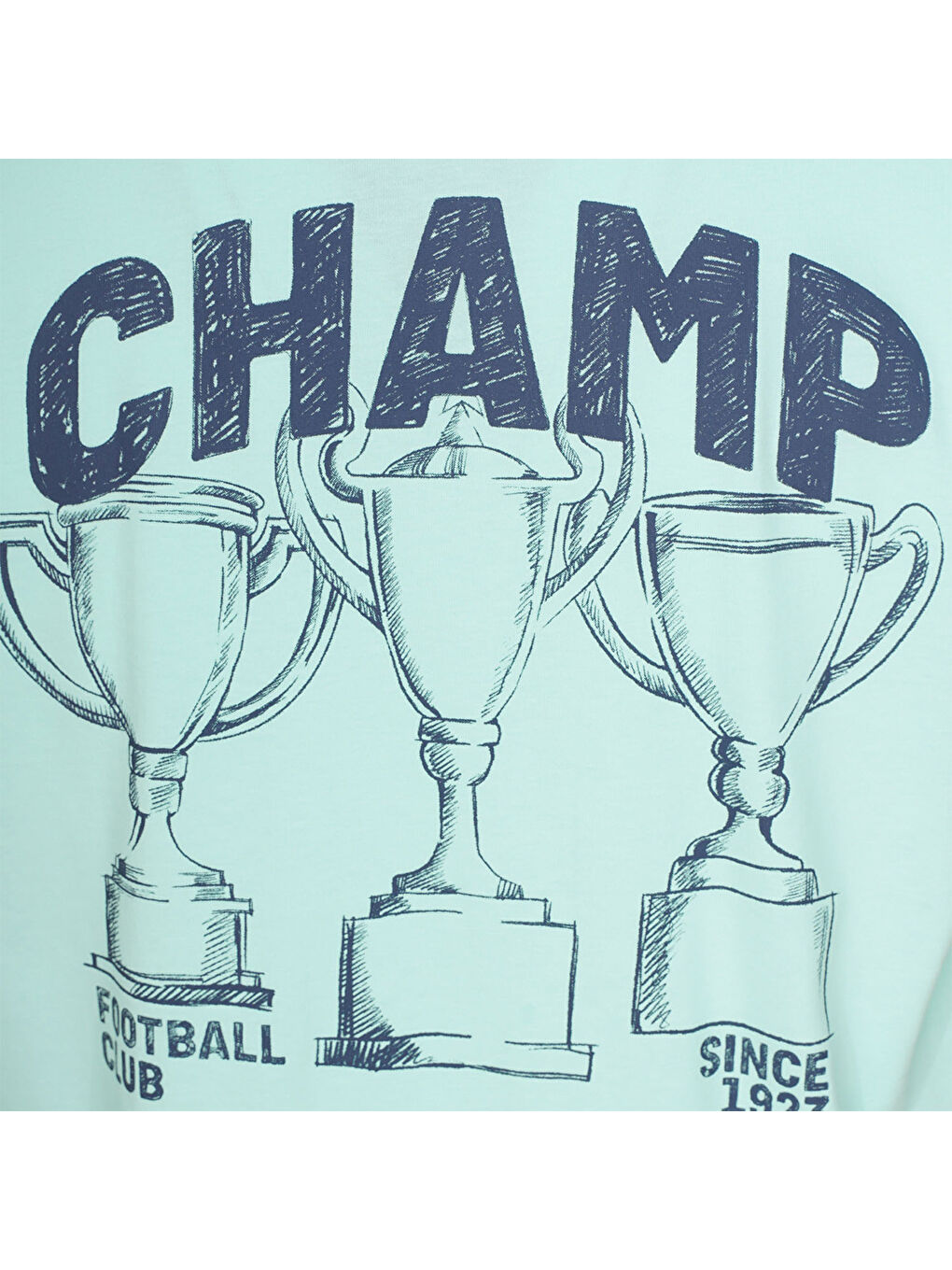 Trinar Erkek Turkuaz Yuvarlak Yaka Tişört-3