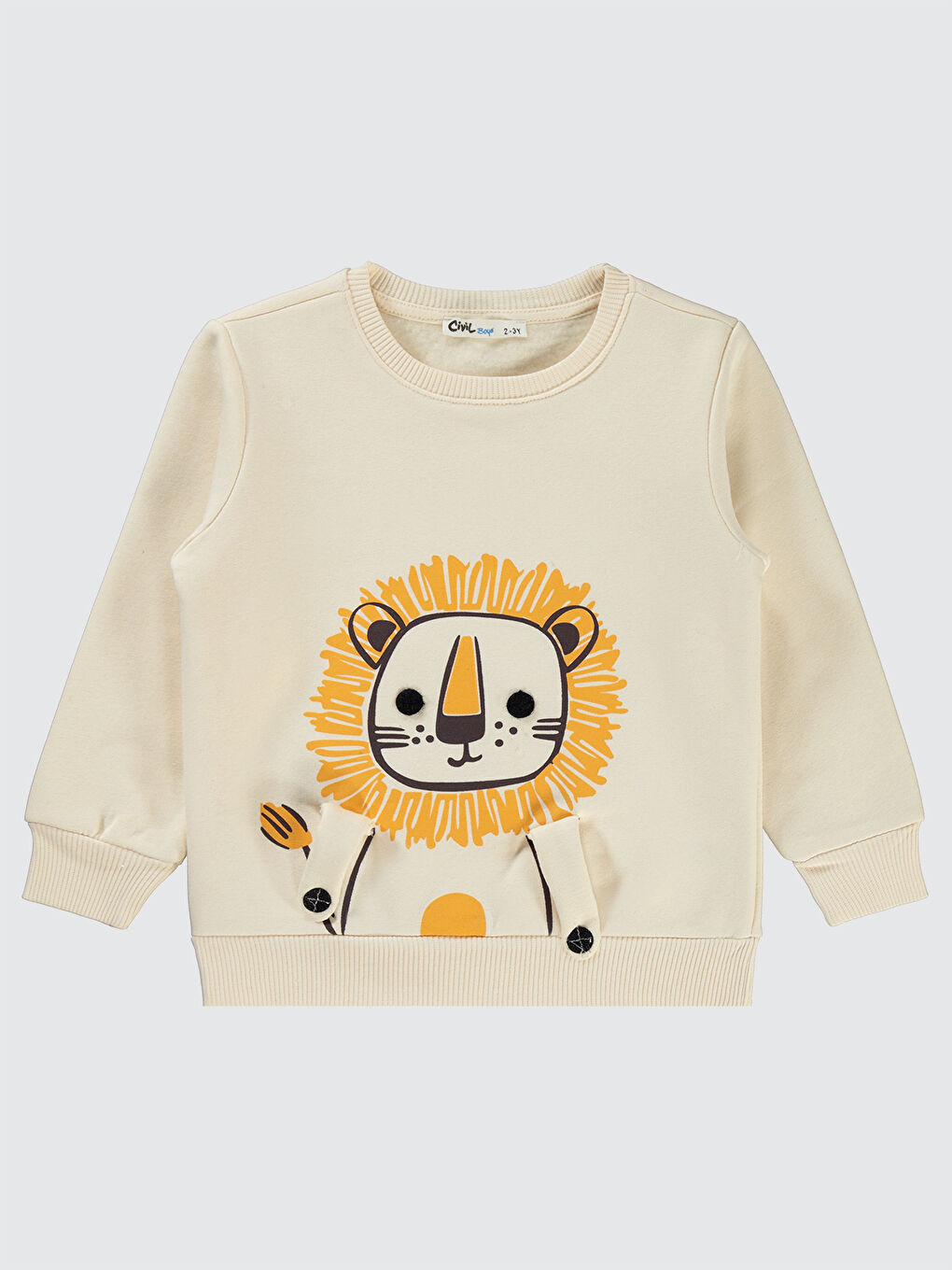 Bej Boys Erkek Çocuk Sweatshirt 2-5 Yaş Taş Rengi