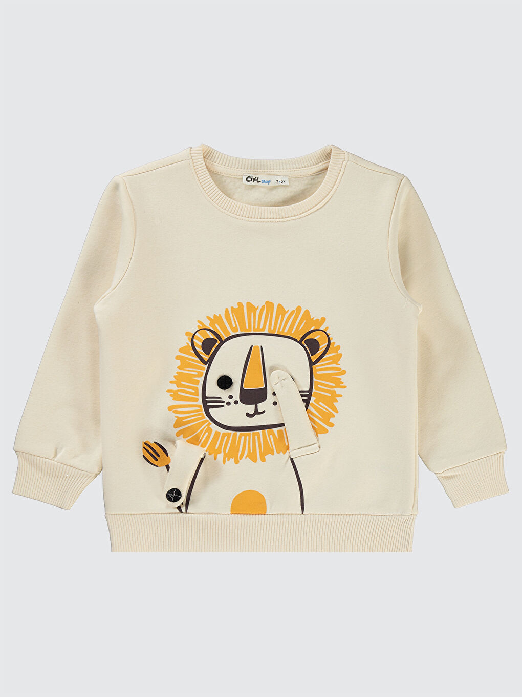 Bej Boys Erkek Çocuk Sweatshirt 2-5 Yaş Taş Rengi-1