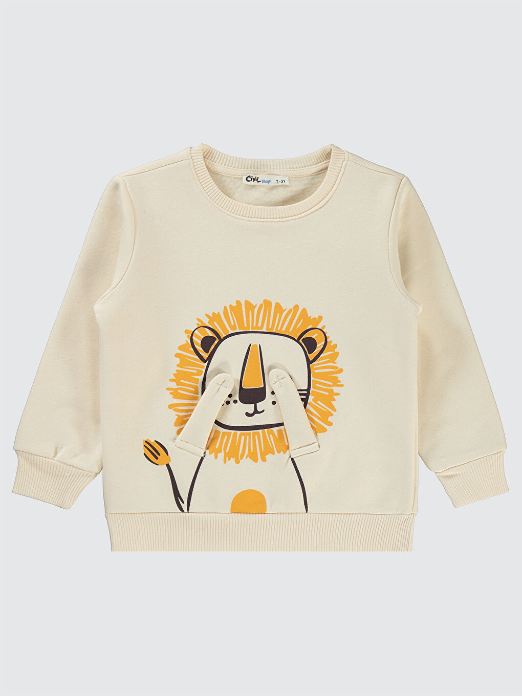 Bej Boys Erkek Çocuk Sweatshirt 2-5 Yaş Taş Rengi-2