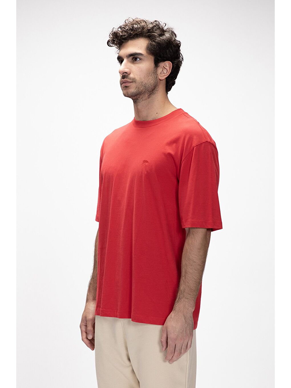 Collage Kırmızı Basic Erkek T-Shirt-1