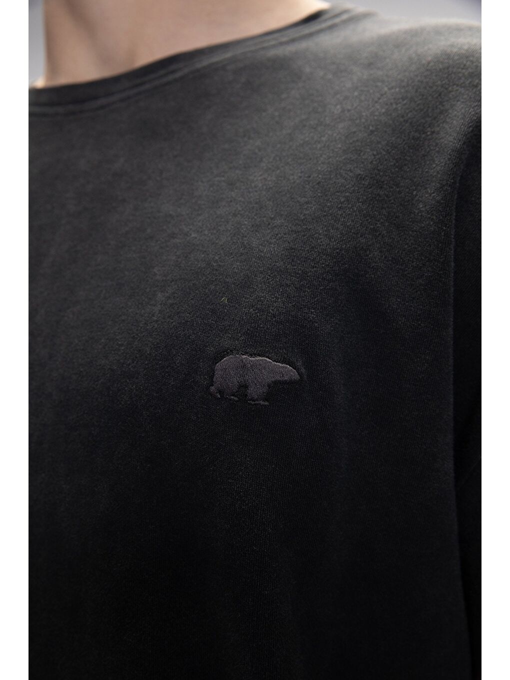 Wild Siyah Baskılı Erkek %100 Pamuk Tişört-4