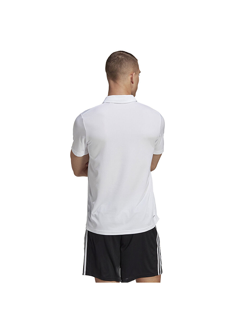 Train Essentials Base Erkek Beyaz Polo Yaka Tişört-1