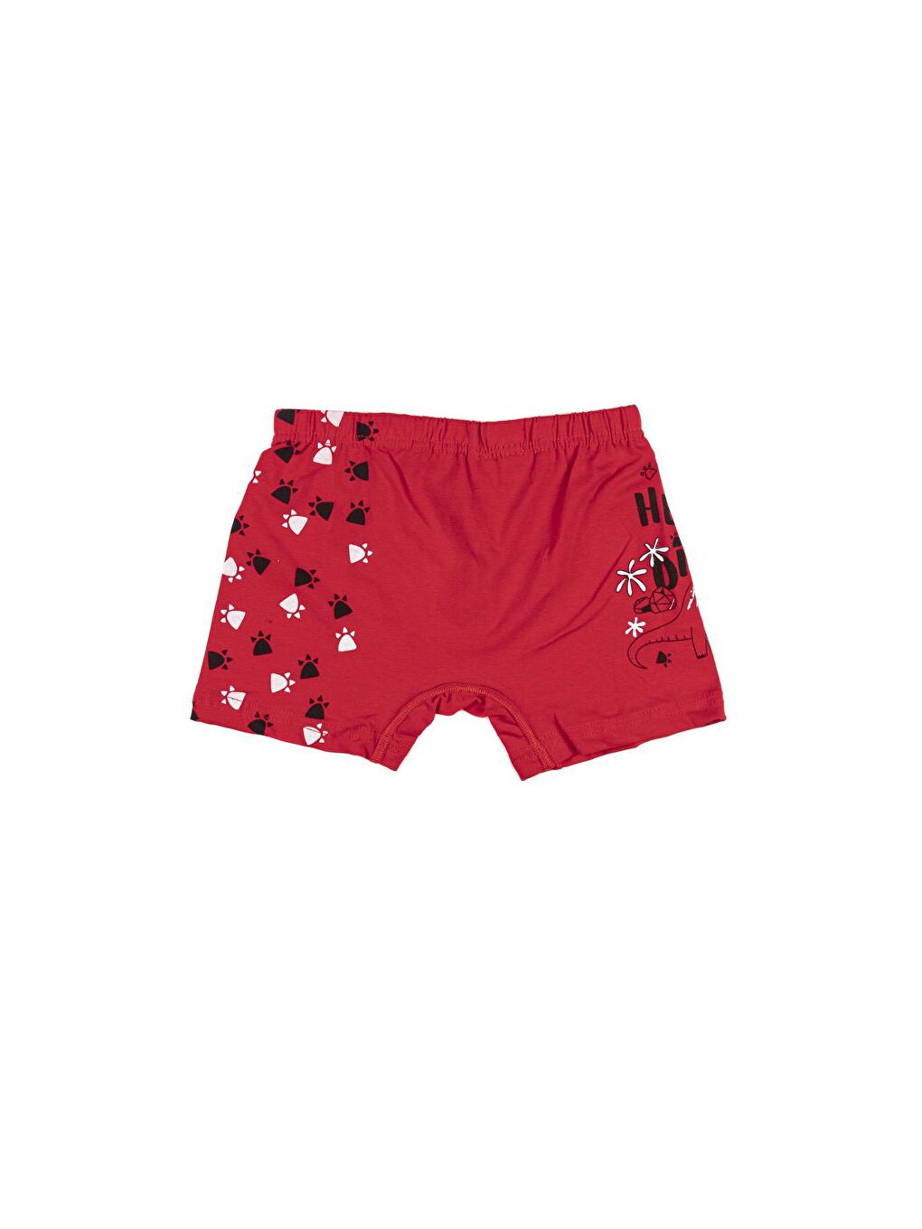 Karışık Erkek Çocuk Boxer 5 li Paket-2