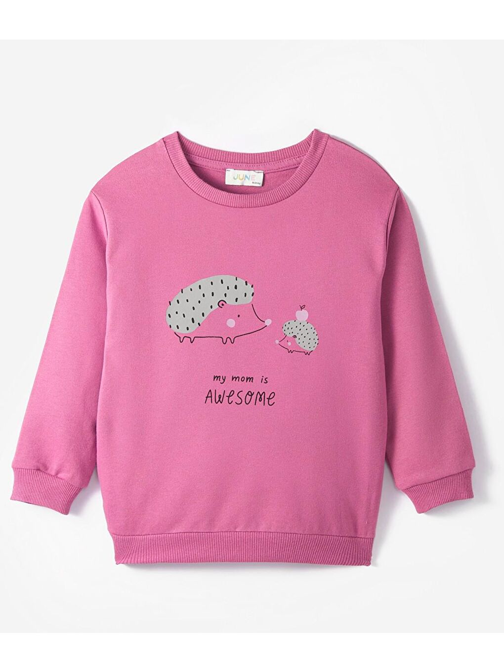 June Koyu Pembe Bisiklet Yaka Uzun Kollu Baskılı Kız Bebek Sweatshirt