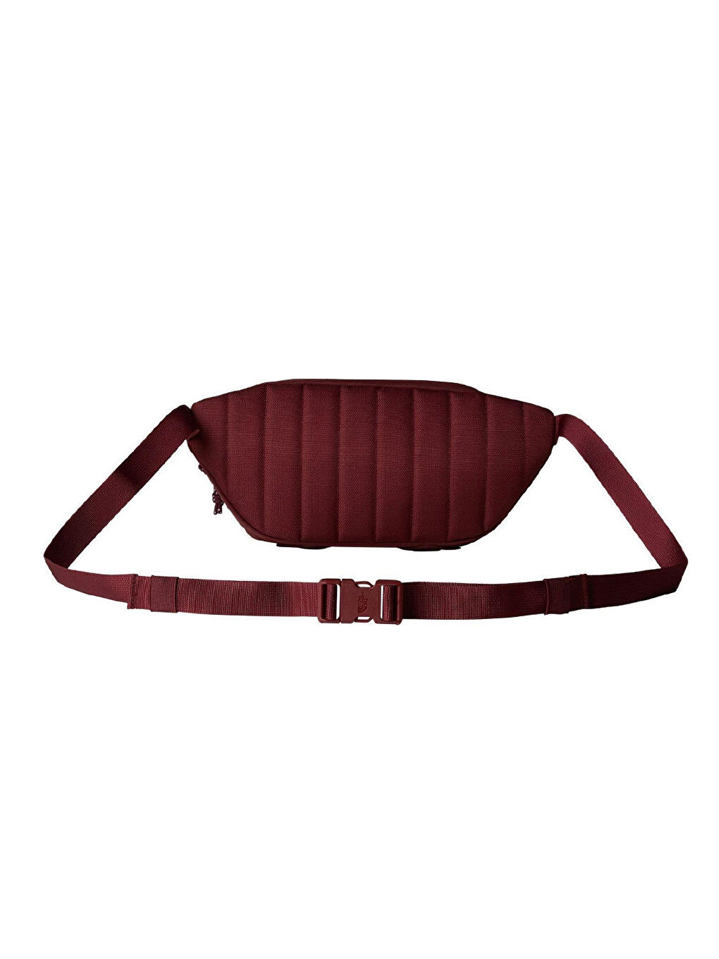 Renksiz Berkeley Lumbar Bel Çantası NF0A52VU82P1-2