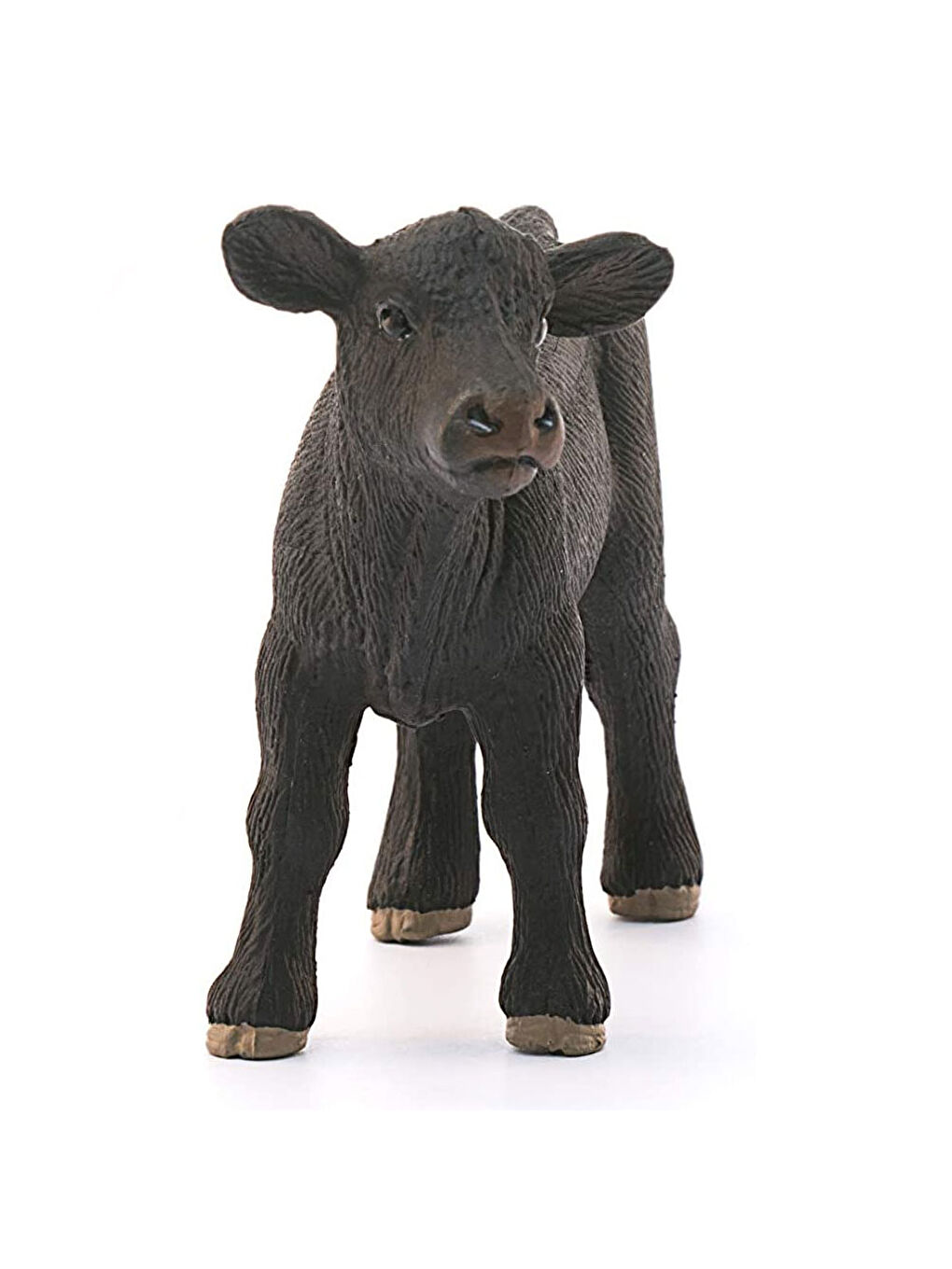 Siyah Angus Buzağı 13880-2