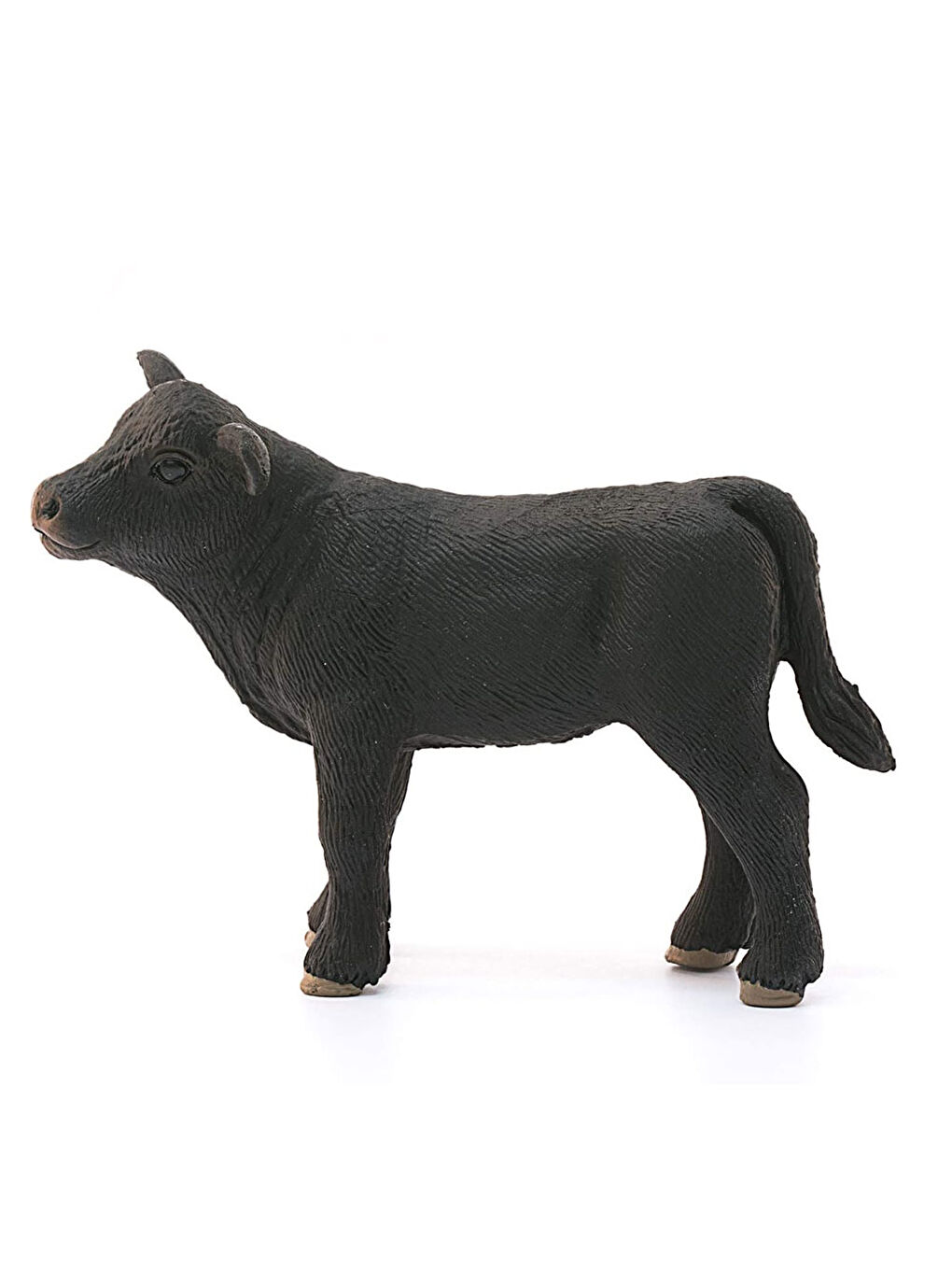 Siyah Angus Buzağı 13880-1