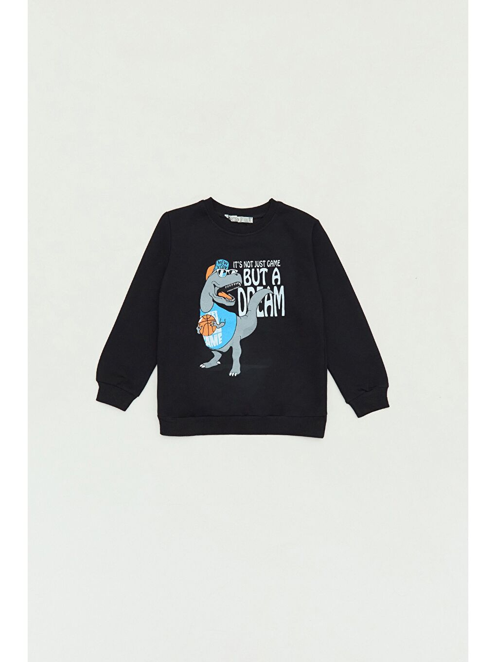 Siyah Dinozor Baskılı Bisiklet Yaka Erkek Çocuk Sweatshirt