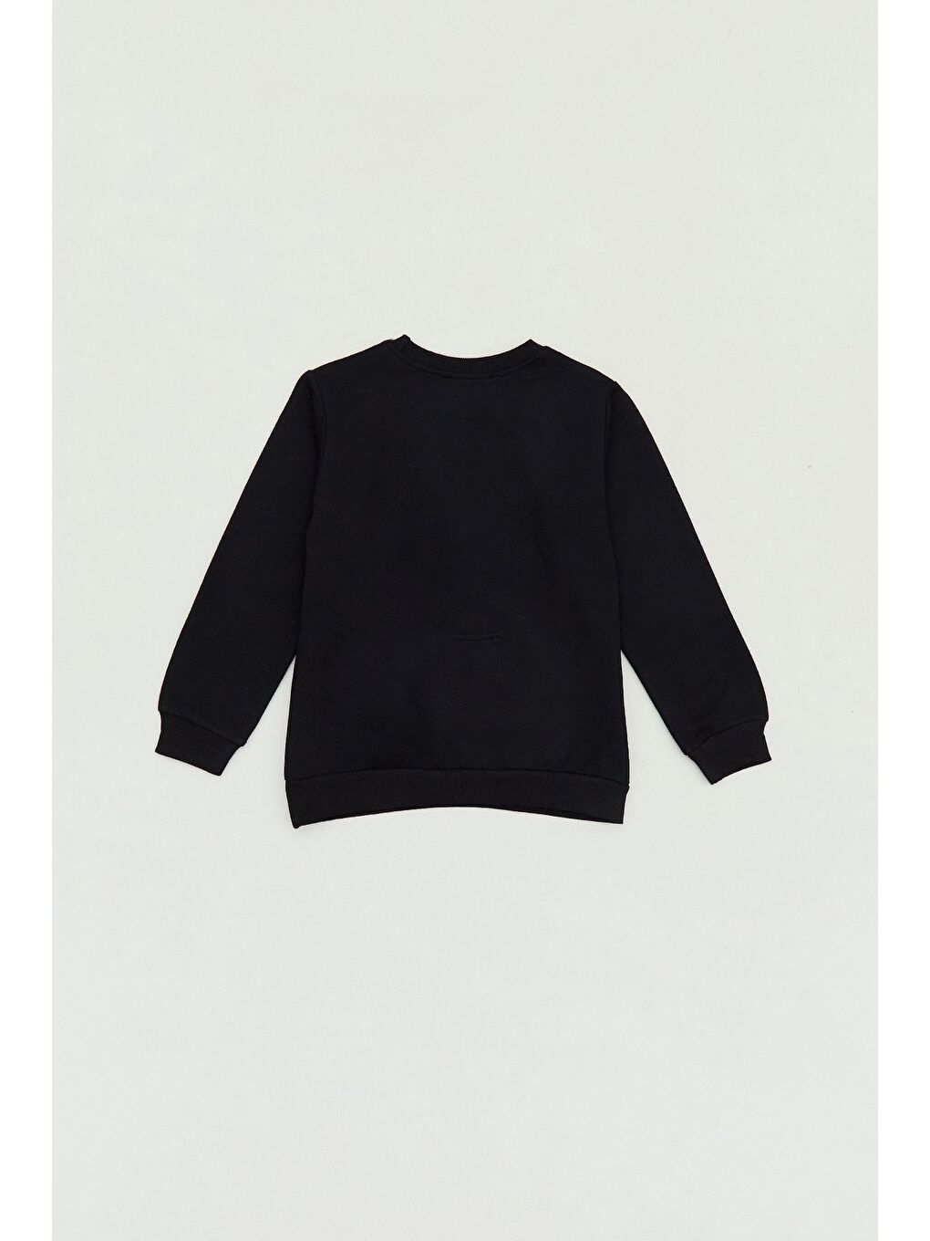 Siyah Dinozor Baskılı Bisiklet Yaka Erkek Çocuk Sweatshirt-1