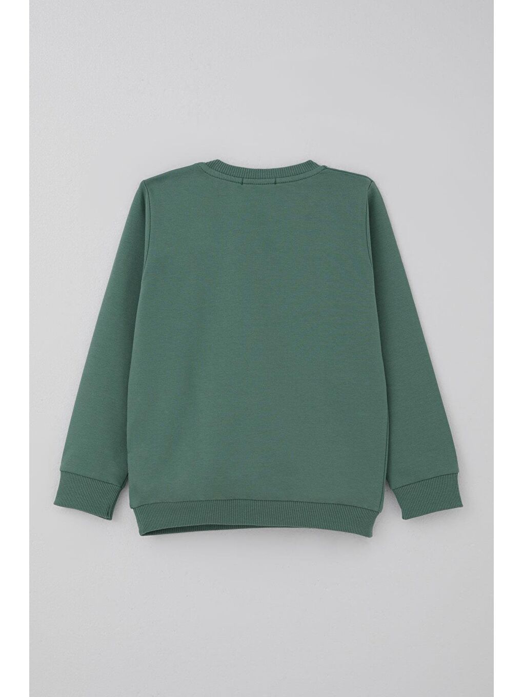 Erkek Bebek Eşofman Takımı Sevimli Köpekçik Nakışlı Kanguru Cepli Petrol Yeşili (9 Ay-3 Yaş)-3