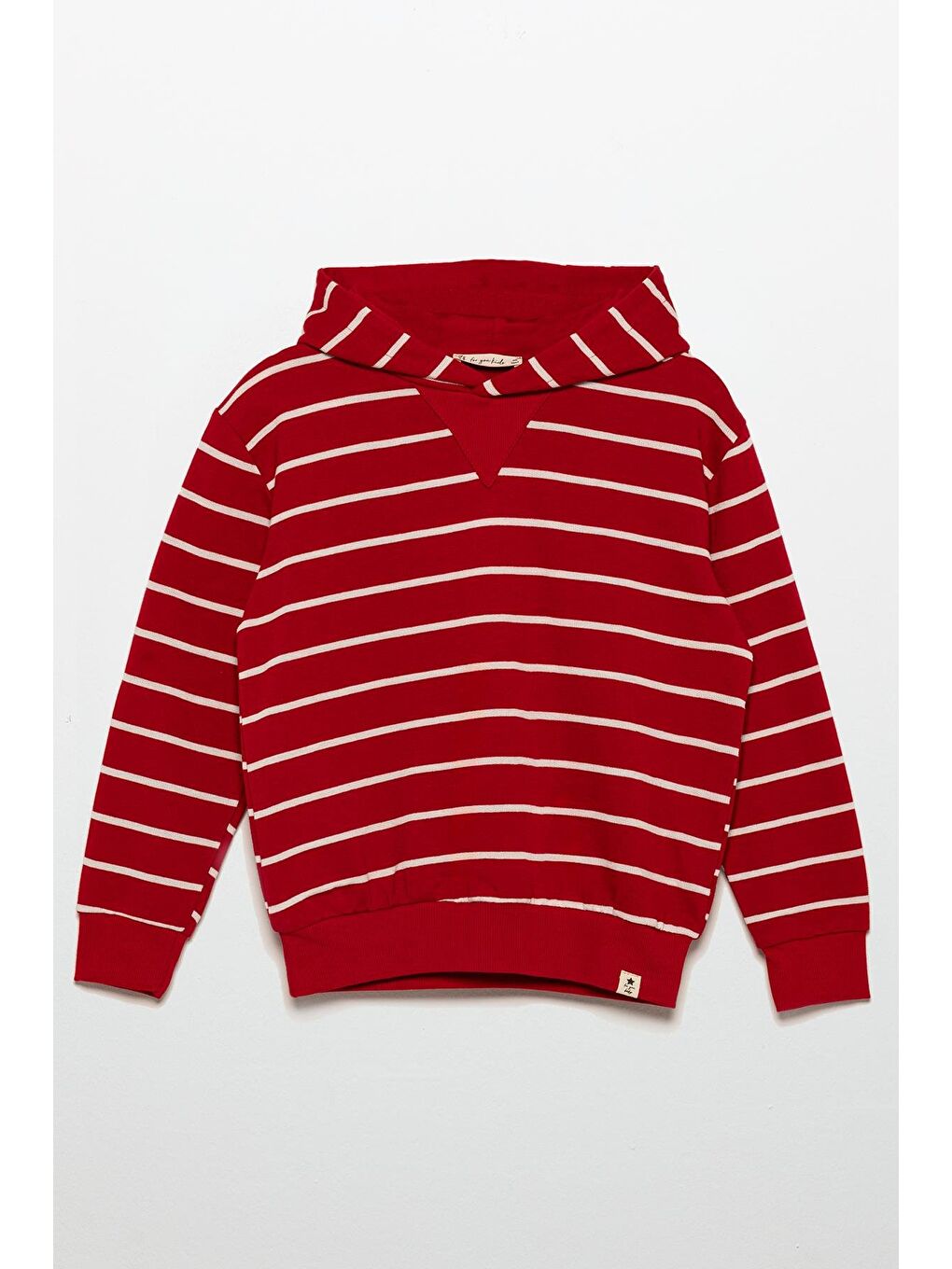 Çizgili Kapüşonlu Jogger Kırmızı Alt Üst Takım-1