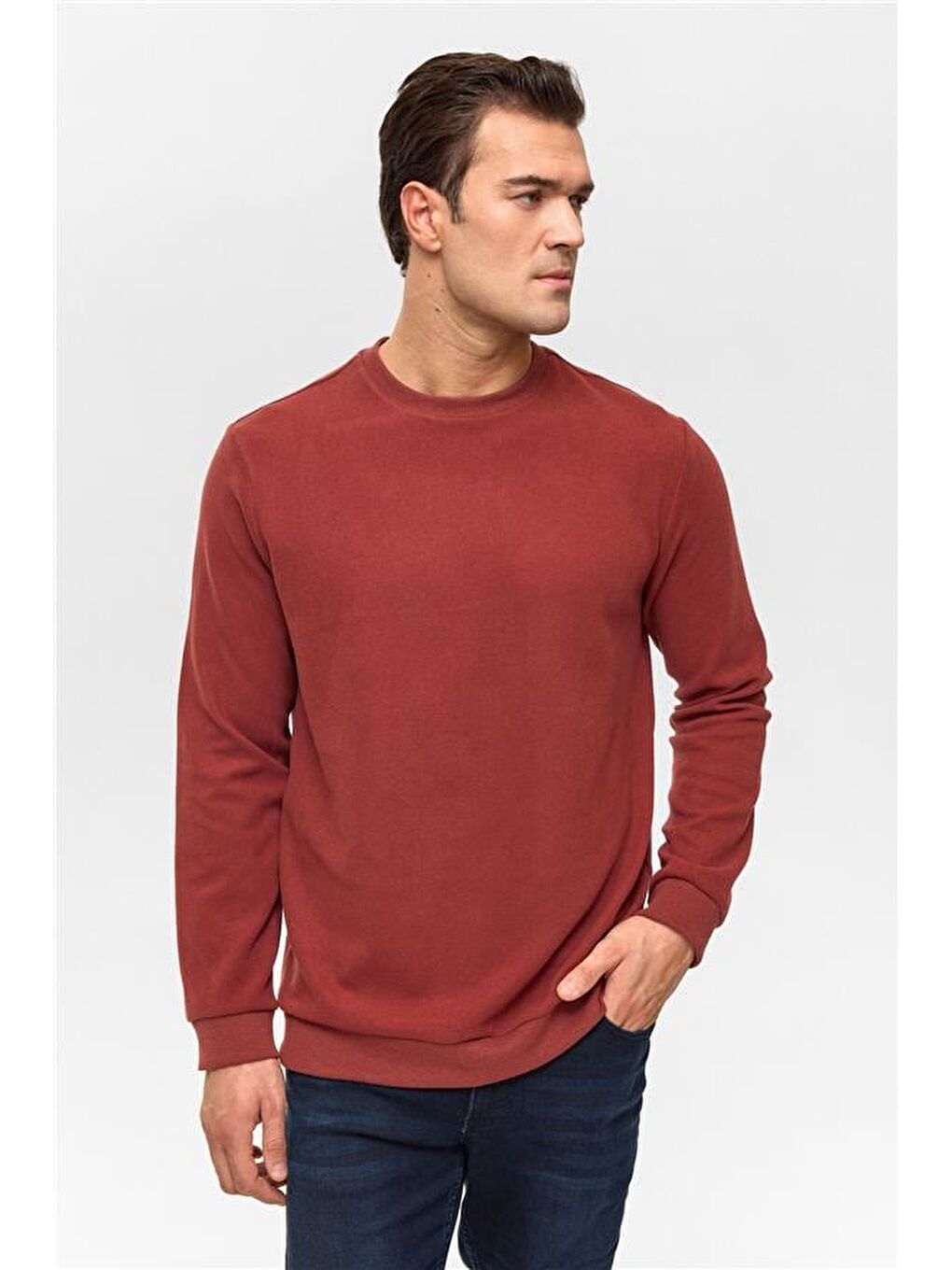 Kahverengi Açık Kahve Regular Düz Bisiklet Yaka Sweatshirt