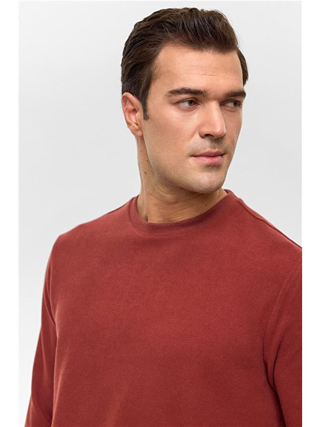 Kahverengi Açık Kahve Regular Düz Bisiklet Yaka Sweatshirt-1