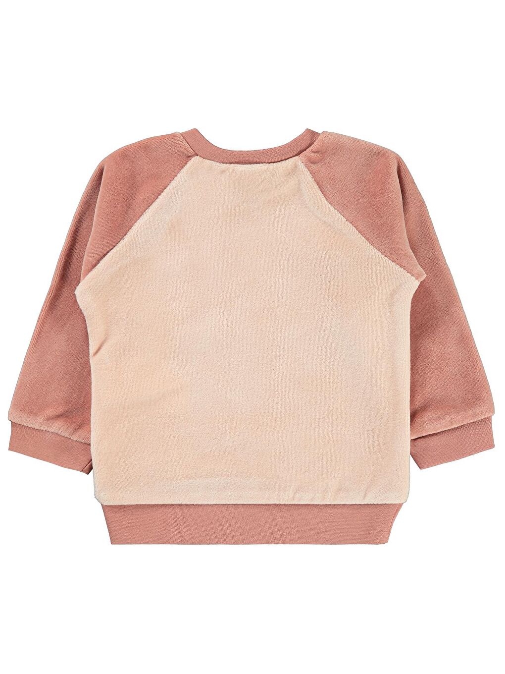 Baby Kız Bebek Sweatshirt 3-18 Ay Pembe-1