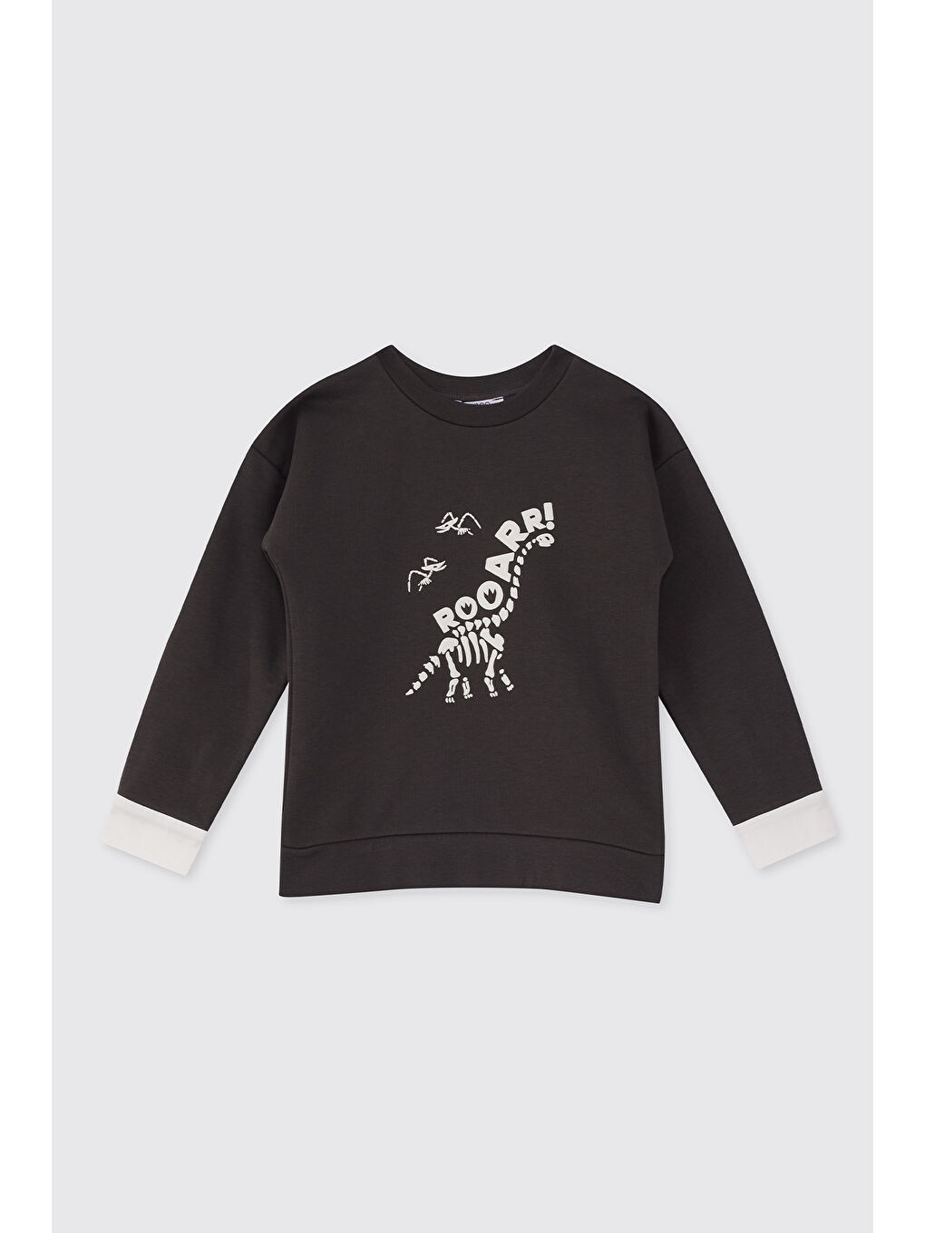 Erkek Çocuk Dinozor Baskı Antrasit Sweatshirt-2