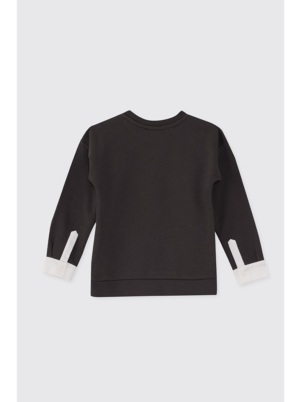 Erkek Çocuk Dinozor Baskı Antrasit Sweatshirt-3