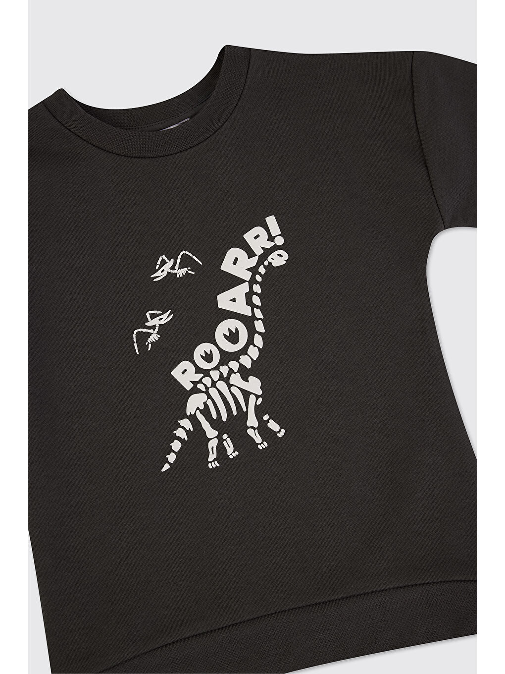 Erkek Çocuk Dinozor Baskı Antrasit Sweatshirt-4