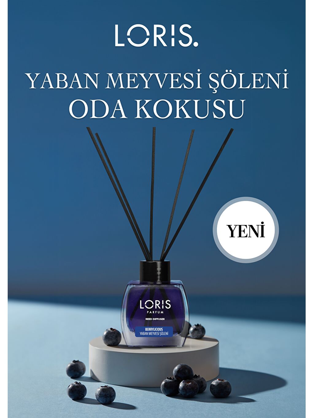 Renksiz Yaban Meyvesi Şöleni Çubuklu Oda Kokusu 120 ML-1