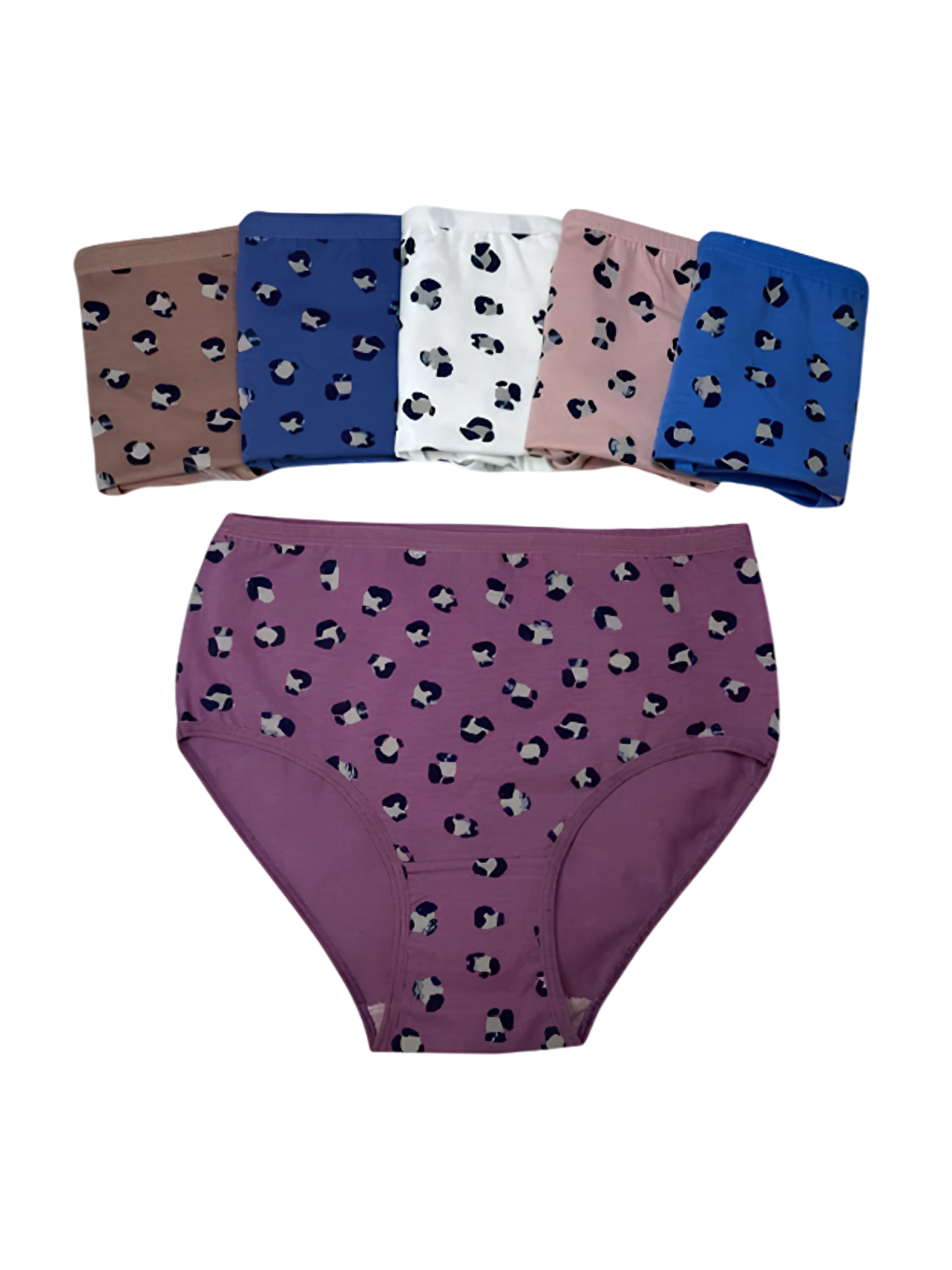 Pembe Kadın 6 lı Pamuklu Elastanlı Havlu Ağ Detaylı Yüksek Bel Külot Seti 2186209