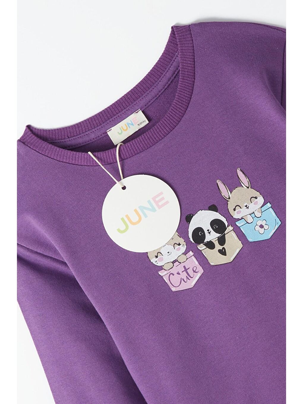 June Mürdüm Bisiklet Yaka Uzun Kollu Baskılı Kız Bebek Sweatshirt - 3