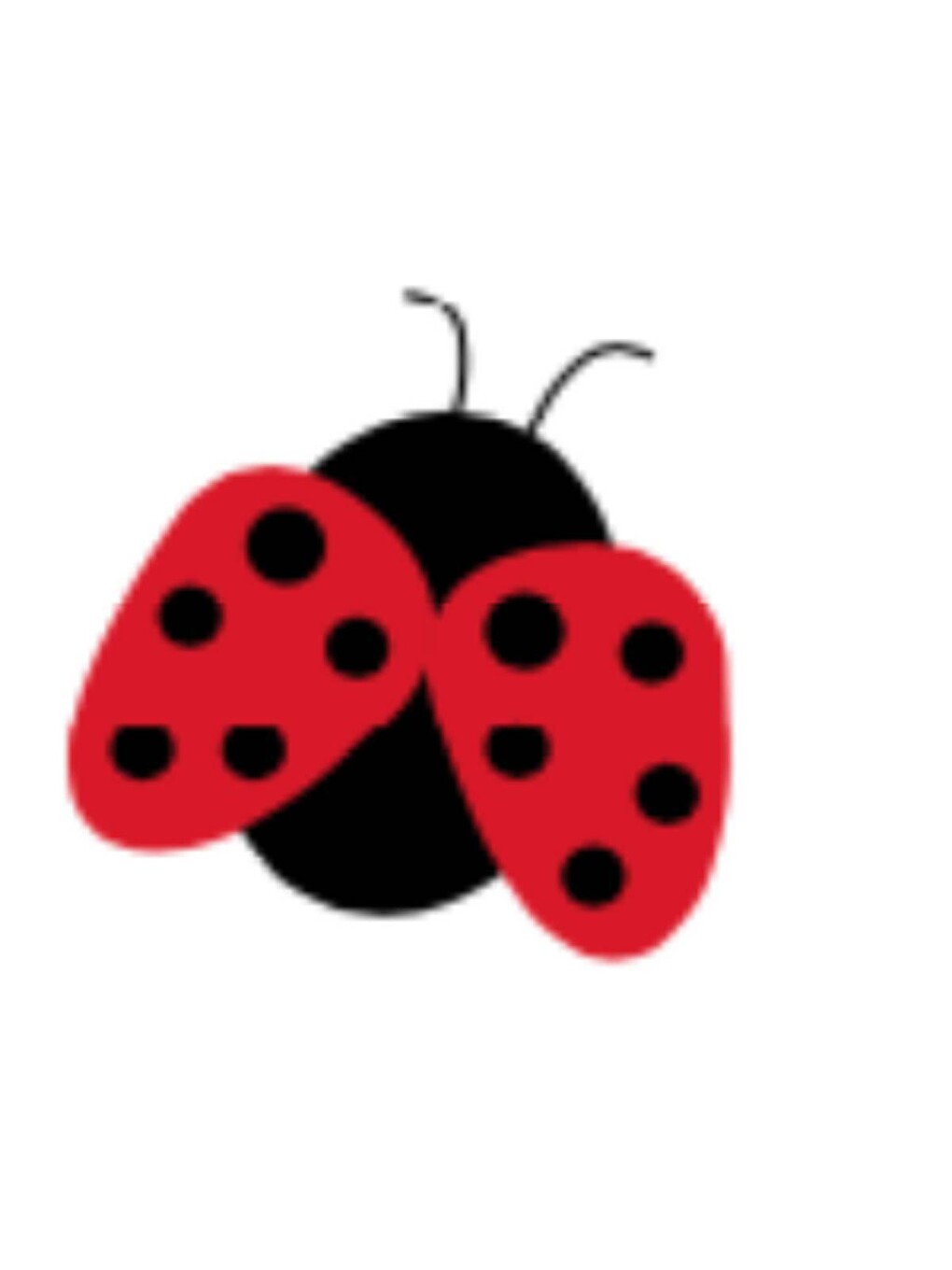 Lil Ladybug Kırmızı Jibbitz-1