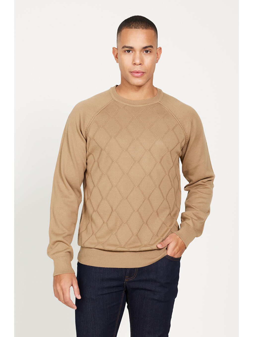 Erkek Bej Standart Fit Normal Kesim Bisiklet Yaka Jakarlı Triko Kazak