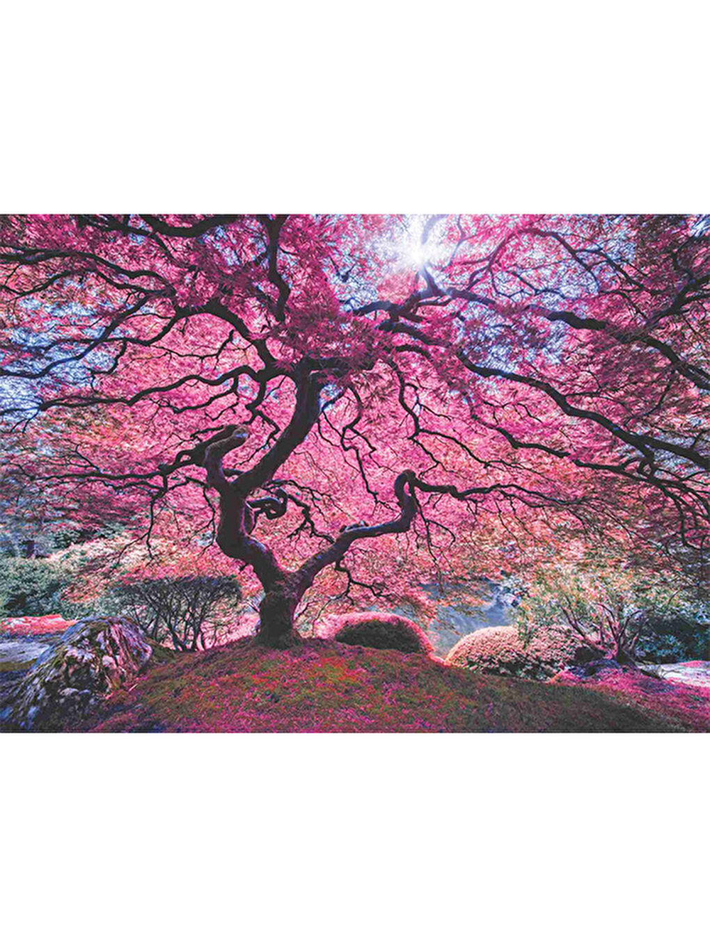 Anatolian Renksiz Puzzle 1000 Parça Pink Tree 1037 - 1